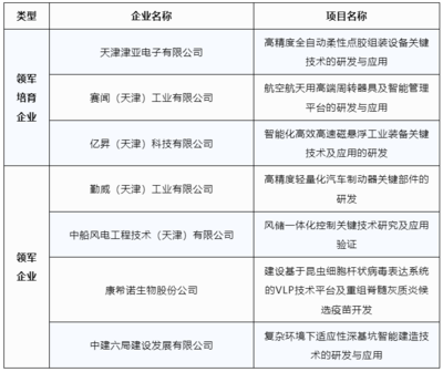 天津经开区7家科技领军企业获批市级重大创新项目立项，激发区域发展新动能